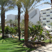 фото из отзыва ID 443625