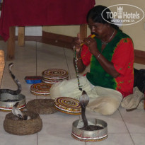 фото из отзыва ID 443813