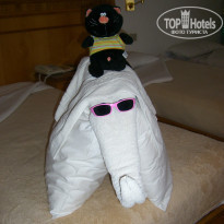 фото из отзыва ID 443879