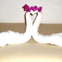 фото из отзыва ID 443879