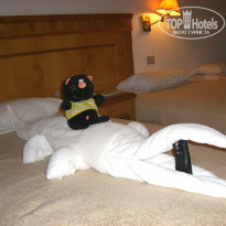 фото из отзыва ID 443879