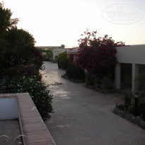 фото из отзыва ID 443975