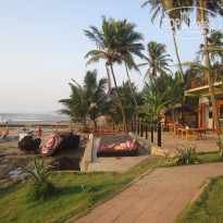 фото из отзыва ID 443472