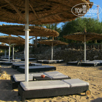 фото из отзыва ID 444007