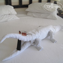 фото из отзыва ID 444213