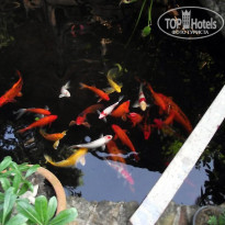 фото из отзыва ID 444414