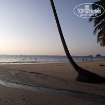 фото из отзыва ID 444414