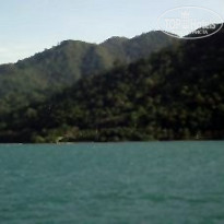 фото из отзыва ID 444414