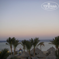 фото из отзыва ID 444587