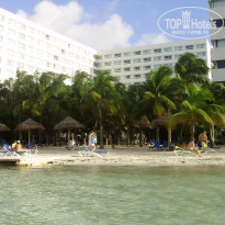 фото из отзыва ID 444606