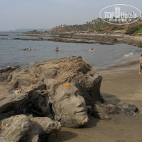 фото из отзыва ID 444870