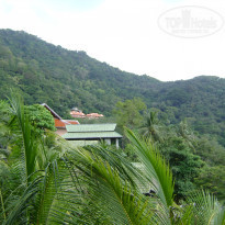 фото из отзыва ID 444873