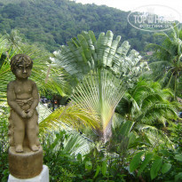 фото из отзыва ID 444873