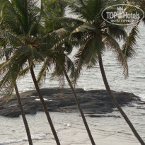 фото из отзыва ID 444870