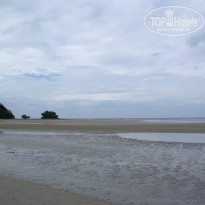 фото из отзыва ID 445058