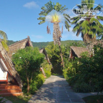 фото из отзыва ID 445210