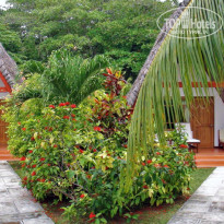 фото из отзыва ID 445210