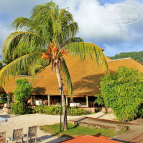 фото из отзыва ID 445210