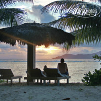 фото из отзыва ID 445210