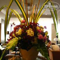 фото из отзыва ID 445348