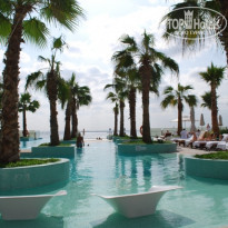 фото из отзыва ID 445587