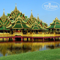 фото из отзыва ID 445699