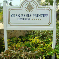 фото из отзыва ID 446397