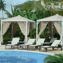 фото из отзыва ID 446397