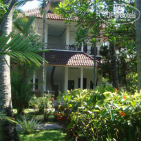 фото из отзыва ID 446214