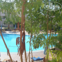 фото из отзыва ID 446221