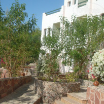 фото из отзыва ID 446221