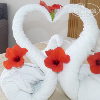 фото из отзыва ID 446537