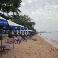 фото из отзыва ID 446590