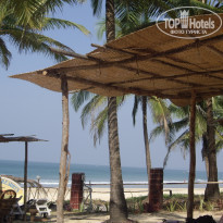 фото из отзыва ID 446674