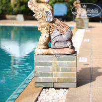 фото из отзыва ID 446677