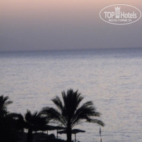 фото из отзыва ID 446686