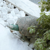 фото из отзыва ID 446692