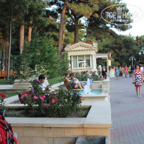 фото из отзыва ID 446735