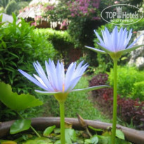 фото из отзыва ID 44717