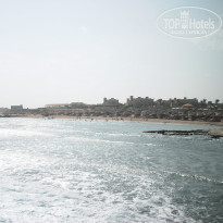 фото из отзыва ID 447180