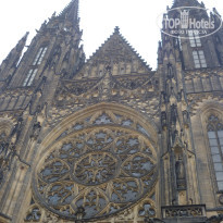 фото из отзыва ID 447457