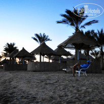 фото из отзыва ID 447702