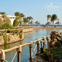 фото из отзыва ID 447702