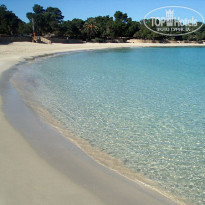 фото из отзыва ID 447767