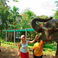 фото из отзыва ID 447821