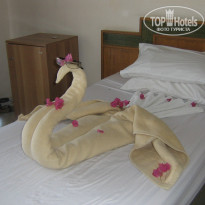 фото из отзыва ID 447910