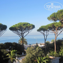 фото из отзыва ID 447934