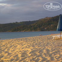 фото из отзыва ID 448344