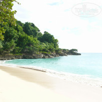 фото из отзыва ID 448345