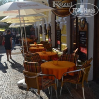 фото из отзыва ID 449035